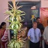 Inaugurated One Day Service at Vavuniya District Registrar Office _16.03.2019